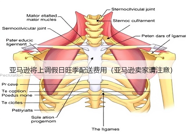 亚马逊将上调假日旺季配送费用(亚马逊卖家请注意)(图1) 亚马逊将上调假日旺季配送费用(亚马逊卖家请注意)(图1)