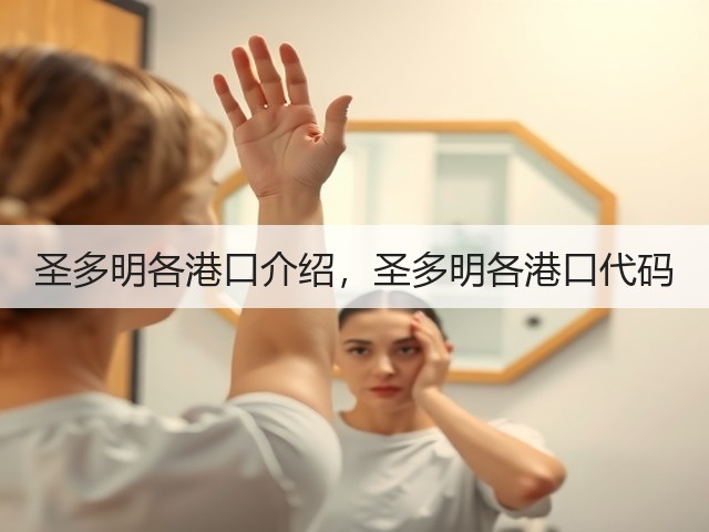 圣多明各港口介绍,圣多明各港口代码(图3) 圣多明各港口介绍,圣多明各港口代码(图3)