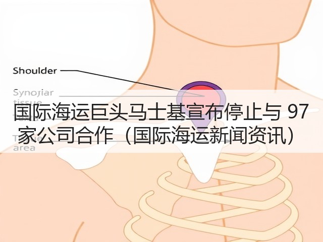 国际海运巨头马士基宣布停止与 97 家公司合作(国际海运新闻资讯)(图3) 国际海运巨头马士基宣布停止与 97 家公司合作(国际海运新闻资讯)(图3)