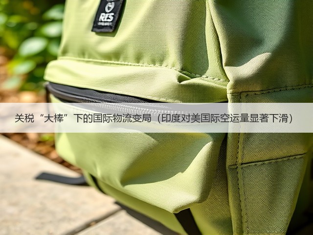 关税“大棒”下的国际物流变局(印度对美国际空运量显著下滑)(图1) 关税“大棒”下的国际物流变局(印度对美国际空运量显著下滑)(图1)