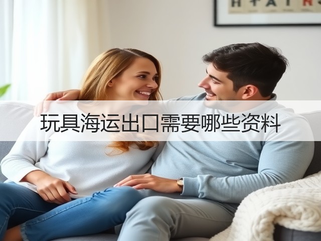 玩具海运出口需要哪些资料(图2) 玩具海运出口需要哪些资料(图2)