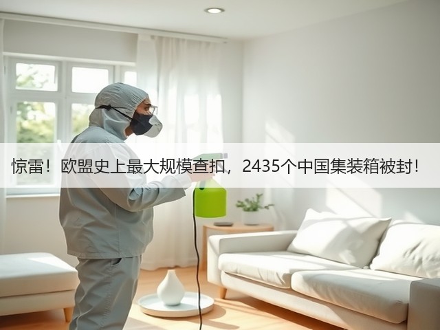 惊雷！欧盟史上最大规模查扣，2435个中国集装箱被封！(图3)
