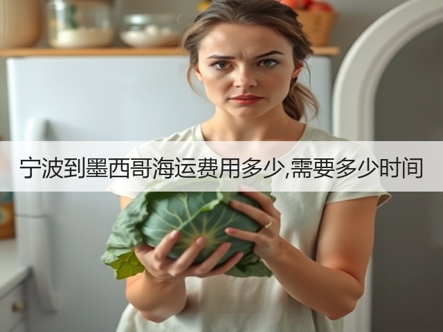 宁波到墨西哥海运费用多少,需要多少时间(图3) 宁波到墨西哥海运费用多少,需要多少时间(图3)