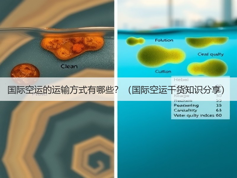 国际空运的运输方式有哪些？（国际空运干货知识分享）