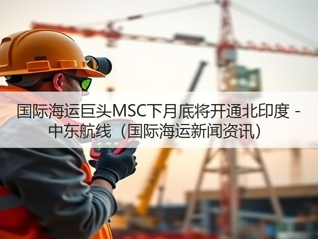 国际海运巨头MSC下月底将开通北印度 - 中东航线(国际海运新闻资讯)(图2) 国际海运巨头MSC下月底将开通北印度 - 中东航线(国际海运新闻资讯)(图2)