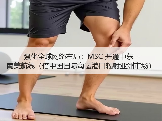 强化全球网络布局:MSC 开通中东 - 南美航线(借中国国际海运港口辐射亚洲市场)(图1) 强化全球网络布局:MSC 开通中东 - 南美航线(借中国国际海运港口辐射亚洲市场)(图1)