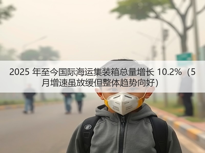 2025 年至今国际海运集装箱总量增长 10.2%(5 月增速虽放缓但整体趋势向好) 2025 年至今国际海运集装箱总量增长 10.2%(5 月增速虽放缓但整体趋势向好)