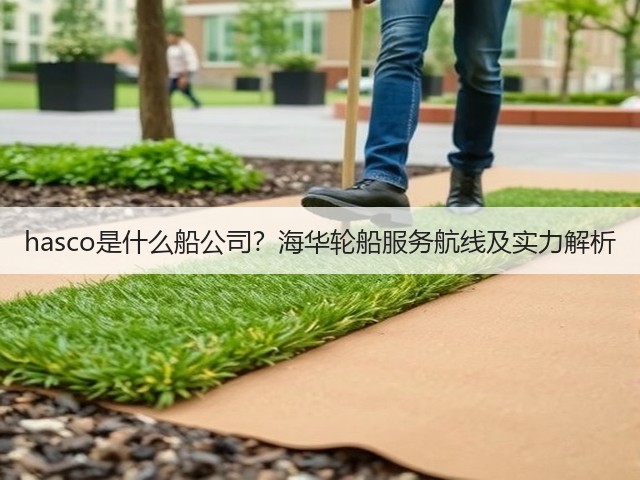 hasco是什么船公司?海华轮船服务航线及实力解析(图2) hasco是什么船公司?海华轮船服务航线及实力解析(图2)
