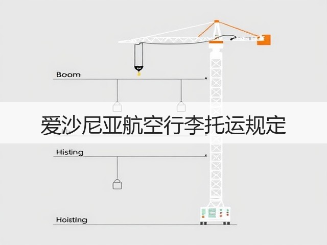 爱沙尼亚航空行李托运规定(图3) 爱沙尼亚航空行李托运规定(图3)