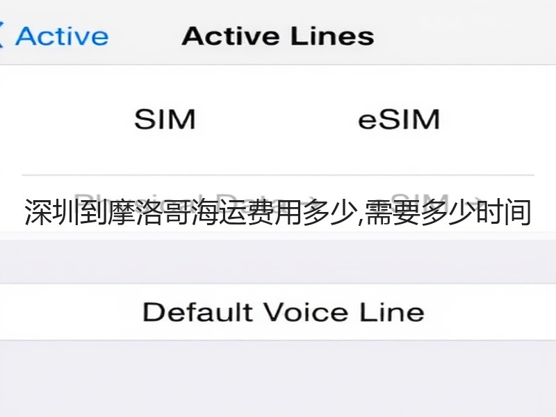 深圳到摩洛哥海运费用多少,需要多少时间