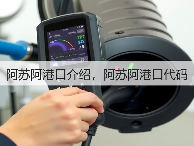 阿苏阿港口介绍,阿苏阿港口代码(图2) 阿苏阿港口介绍,阿苏阿港口代码(图2)