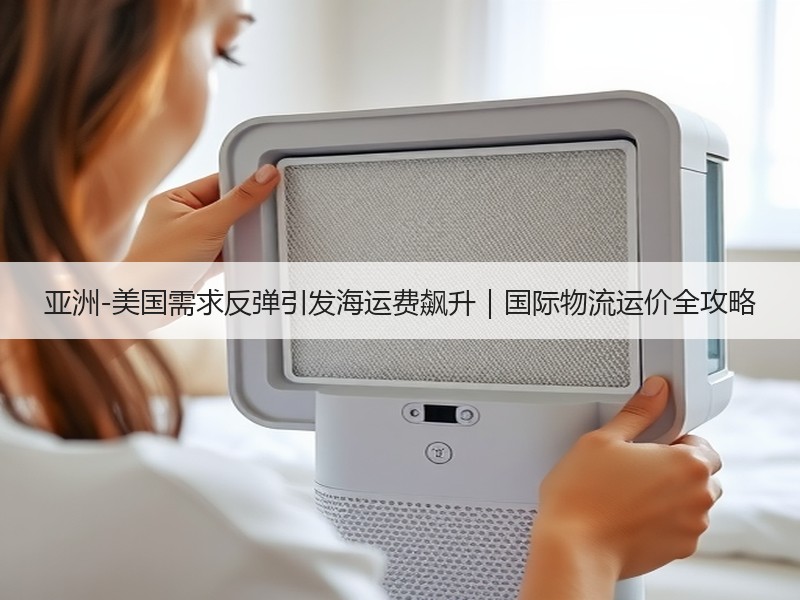 亚洲-美国需求反弹引发海运费飙升｜国际物流运价全攻略