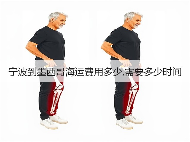 宁波到墨西哥海运费用多少,需要多少时间(图1) 宁波到墨西哥海运费用多少,需要多少时间(图1)