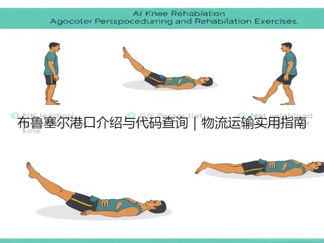 布鲁塞尔港口介绍与代码查询|物流运输实用指南(图2) 布鲁塞尔港口介绍与代码查询|物流运输实用指南(图2)
