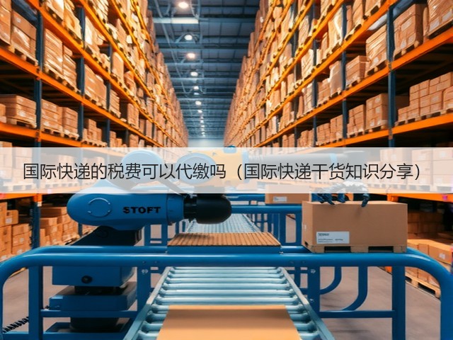 国际快递的税费可以代缴吗(国际快递干货知识分享)(图2) 国际快递的税费可以代缴吗(国际快递干货知识分享)(图2)