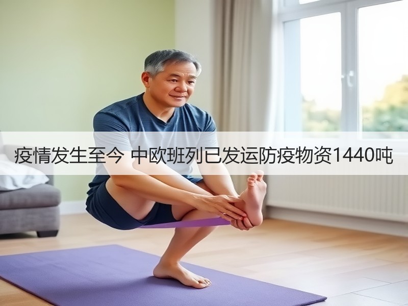 疫情发生至今 中欧班列已发运防疫物资1440吨 疫情发生至今 中欧班列已发运防疫物资1440吨