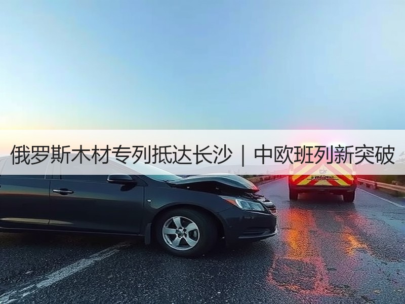 俄罗斯木材专列抵达长沙|中欧班列新突破 俄罗斯木材专列抵达长沙|中欧班列新突破