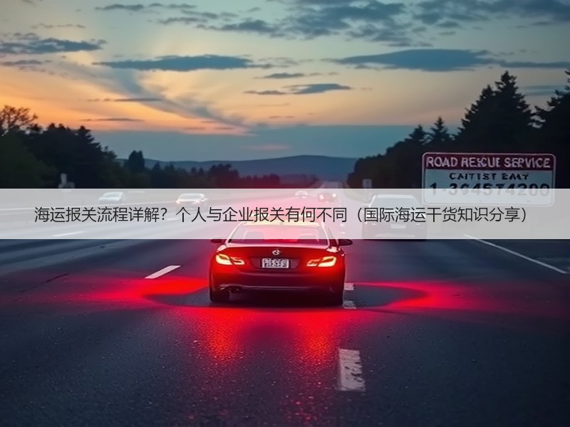 海运报关流程详解？个人与企业报关有何不同（国际海运干货知识分享）