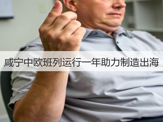 咸宁中欧班列运行一年助力制造出海(图3)