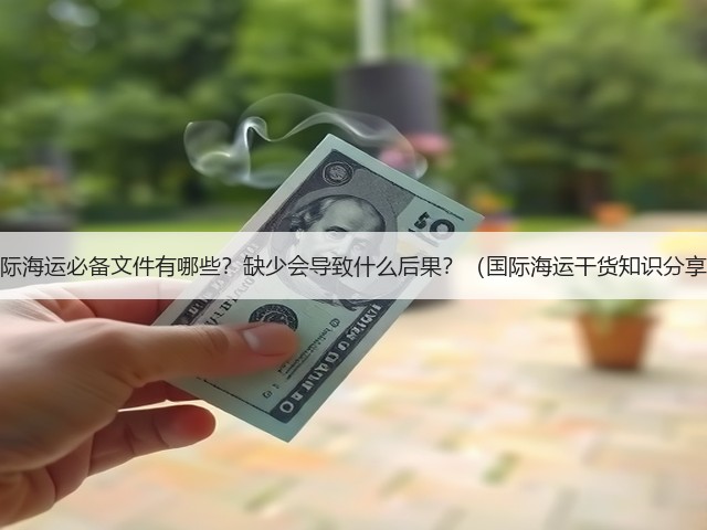 国际海运必备文件有哪些?缺少会导致什么后果?(国际海运干货知识分享)(图3) 国际海运必备文件有哪些?缺少会导致什么后果?(国际海运干货知识分享)(图3)