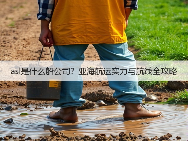 asl是什么船公司?亚海航运实力与航线全攻略(图3) asl是什么船公司?亚海航运实力与航线全攻略(图3)