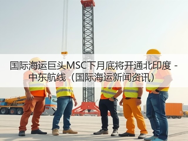 国际海运巨头MSC下月底将开通北印度 - 中东航线(国际海运新闻资讯)(图2) 国际海运巨头MSC下月底将开通北印度 - 中东航线(国际海运新闻资讯)(图2)