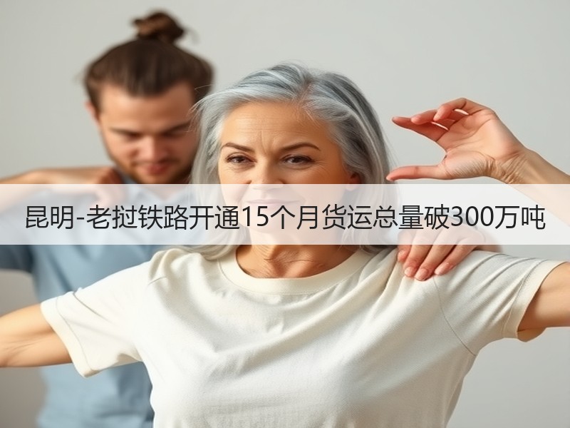 昆明-老挝铁路开通15个月货运总量破300万吨