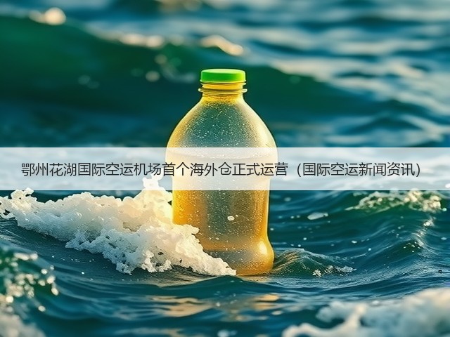 鄂州花湖国际空运机场首个海外仓正式运营(国际空运新闻资讯)(图1) 鄂州花湖国际空运机场首个海外仓正式运营(国际空运新闻资讯)(图1)