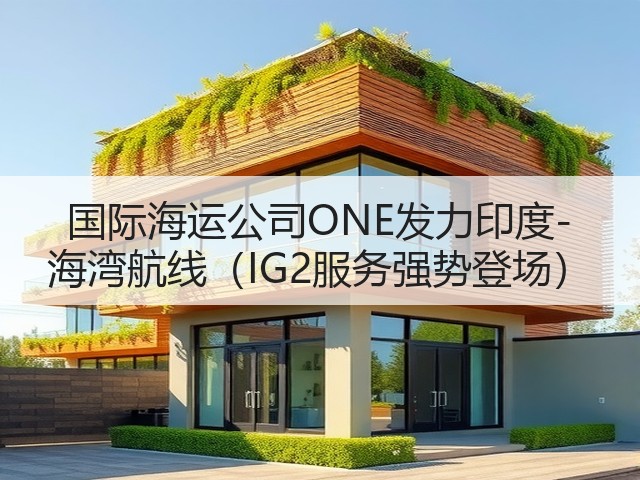 国际海运公司ONE发力印度-海湾航线(IG2服务强势登场)(图2) 国际海运公司ONE发力印度-海湾航线(IG2服务强势登场)(图2)