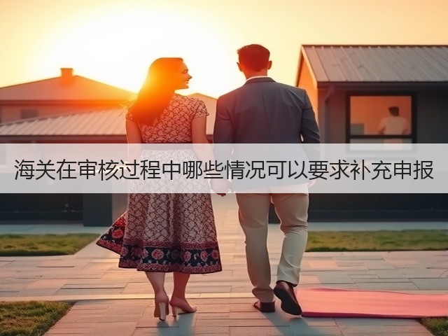 海关在审核过程中哪些情况可以要求补充申报(图3)