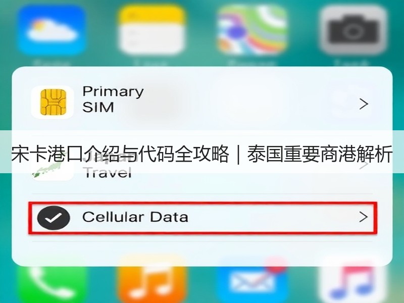 宋卡港口介绍与代码全攻略｜泰国重要商港解析
