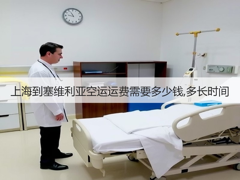 上海到塞维利亚空运运费需要多少钱,多长时间