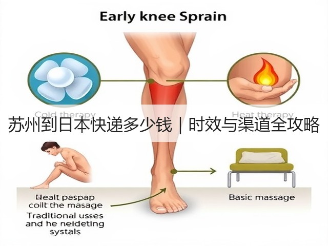 苏州到日本快递多少钱｜时效与渠道全攻略(图2)