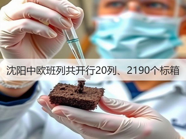 沈阳中欧班列共开行20列、2190个标箱(图3) 沈阳中欧班列共开行20列、2190个标箱(图3)