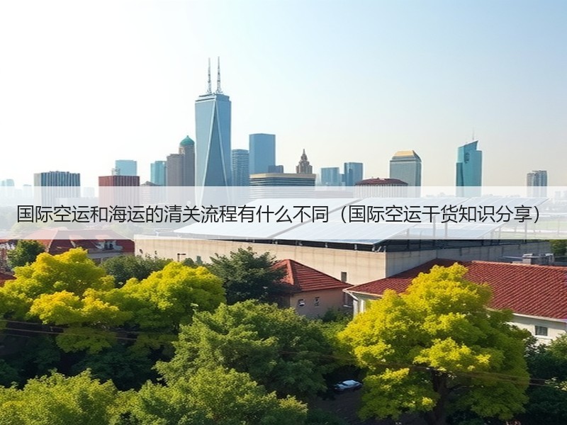 国际空运和海运的清关流程有什么不同（国际空运干货知识分享）