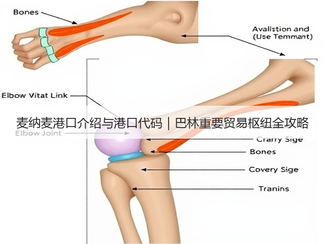 麦纳麦港口介绍与港口代码|巴林重要贸易枢纽全攻略(图1) 麦纳麦港口介绍与港口代码|巴林重要贸易枢纽全攻略(图1)