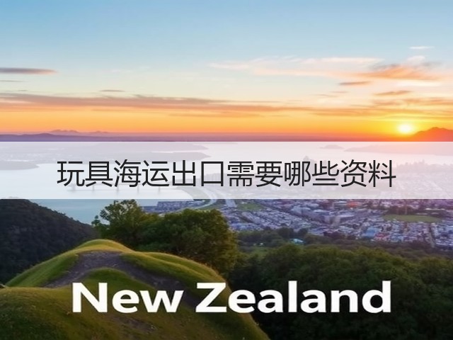 玩具海运出口需要哪些资料(图1) 玩具海运出口需要哪些资料(图1)